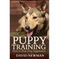Puppy Training: How to Stop Dog Aggression