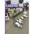 Radical Philosophy 2.18 / Spring 2025