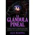 La glándula pineal: Como usar tu tercer ojo para lograr una mayor conciencia