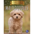 Maltidoodles