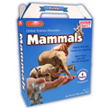 Online Discovery Mammals