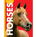 Curious about Horses