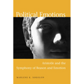Political Emotions