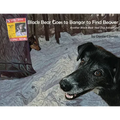 Black Bear Goes to Bangor to Find Beaver: Another Black Bear Sled Dog Adventure
