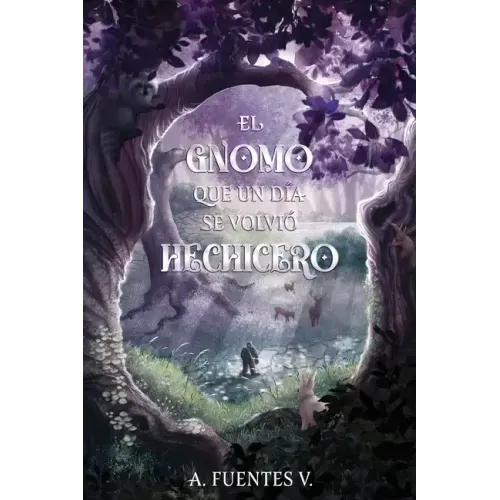 El Gnomo Que Un Día Se Volvió Hechicero