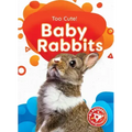 Baby Rabbits
