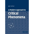 A Modern Approach to Critical Phenomena