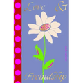Love and Freindship