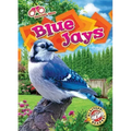 Blue Jays