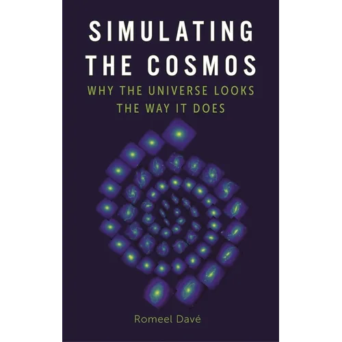 Simulating the Cosmos: Why the Universe Looks the Way It Does