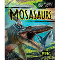 Mosasaurs