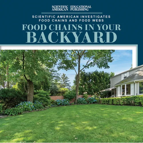 Food Chains in Your Backyard