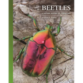 The Lives of Beetles: A Natural History of Coleoptera