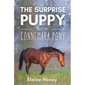 The Surprise Puppy and the Connemara Pony - The Coral Cove Horses Series