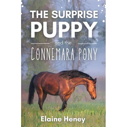 The Surprise Puppy and the Connemara Pony - The Coral Cove Horses Series