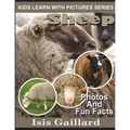 Sheep: Photos and Fun Facts for Kids