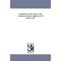 A Rebel War Clerk's Diary at the Confederate States Capital. by J. B. Jones. Vol. 2