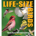 Life-Size Birds: The Big Book of North American Birds