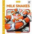 Milk Snakes