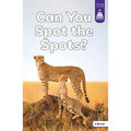 Can You Spot the Spots?