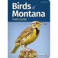 Birds of Montana Field Guide