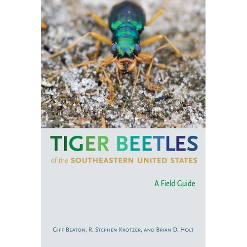 Tiger Beetles of the Southeastern United States: A Field Guide