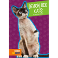 Devon Rex Cats