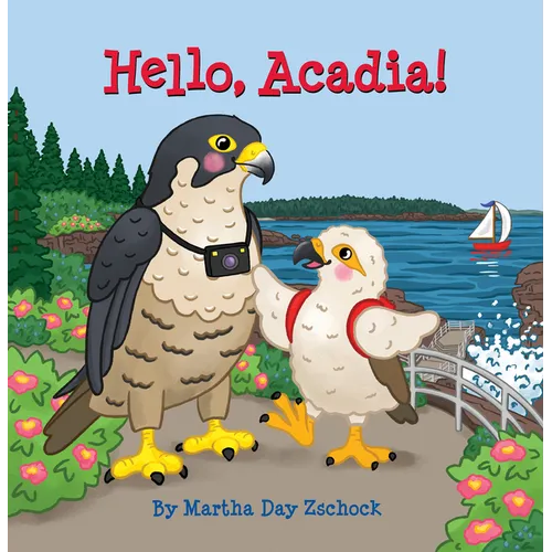 Hello, Acadia!