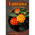 Lantana: Plant overview and guide