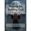 Waking the Sleeping Soul: The Immortal Fate Book 2