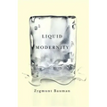 Liquid Modernity