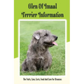 Glen of Imaal Terrier Information: The Traits, Care, Costs, Feed And Cure For Diseases: Treating A Glen Of Imaal Terrier Guide