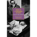 Diary of a Foreigner in Paris