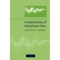 Fundamentals of Multiphase Flow