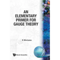 An Elementary Primer for Gauge Theory