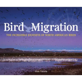 Bird Migration: The Incredible Journeys of North American Birds
