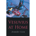 Vesuvius at Home