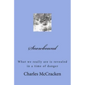 Snowbound: What we really are is revealed in a time of danger