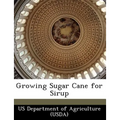 Growing Sugar Cane for Sirup