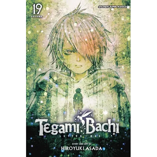Tegami Bachi, Vol. 19