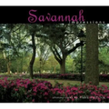 Savannah Impressions
