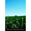 The Letters Of Saint Teresa
