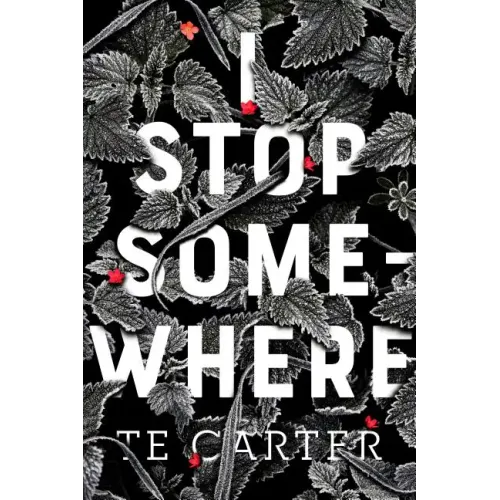 I Stop Somewhere