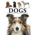 Dogs