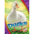 Ducks