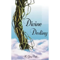 Divine Destiny