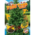 See a Pine Tree Grow