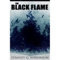 The Black Flame: Dystopian Novel