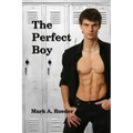 The Perfect Boy