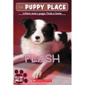 Flash (the Puppy Place #6)